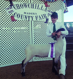 Champion Registered Ewe, 2014 Chowchilla Fair & 2014 Los Banos Fair