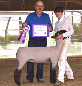Supreme Registered Ewe, 2015 Merced Fair