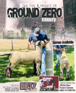 Ground Zero