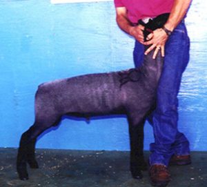 Platinum