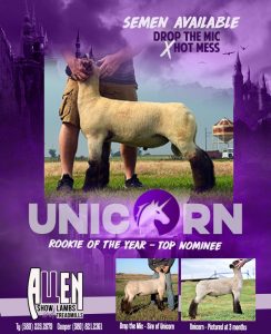 Unicorn
